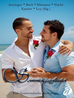 cover image of Sommergayflüster